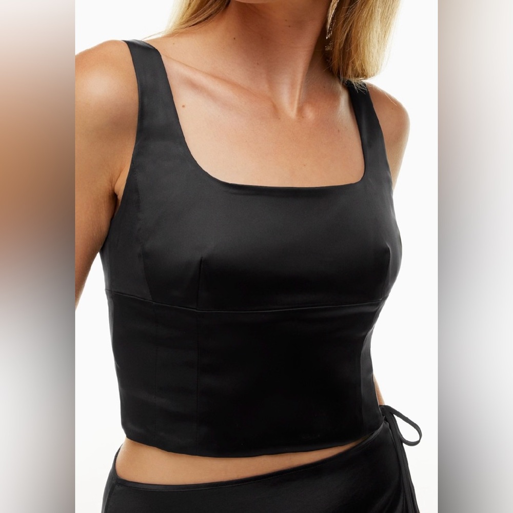 Aritzia Wilfred Shine Satin Bustier